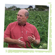 David J. Elliot & Son, Stillwater Orchards