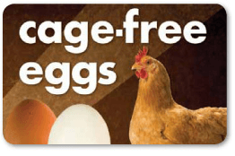 Cage free eggs