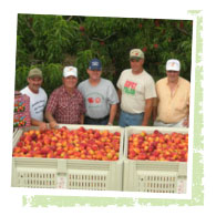 Sunny Valley - Jersey Fruit Cooperative